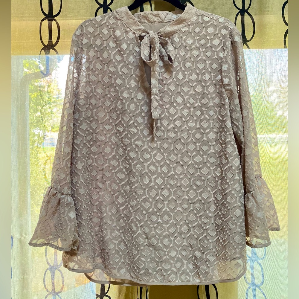 NWT Catherine Malandrino Sheer Dusty Rose Textured Tunic Blouse XL
